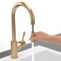 Preview: Villeroy & Boch Umbrella Flex Schlauchbrause Gold (925400003) Hochdruck